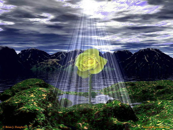 Карим Зокиров