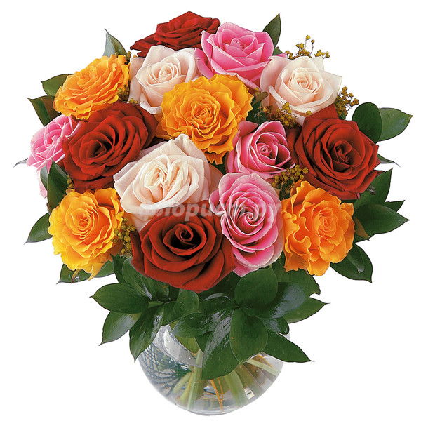 Анна Чухина