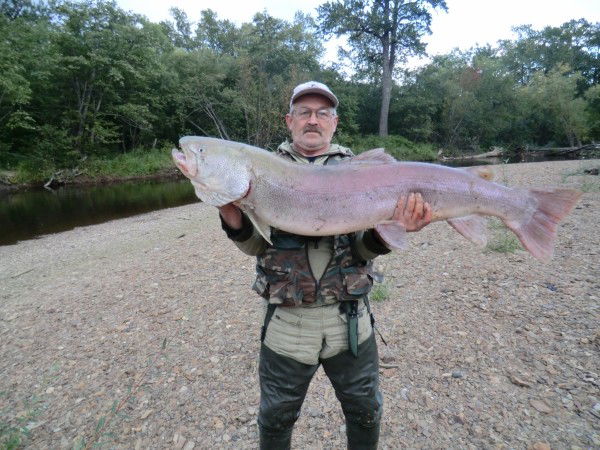 Павел Мягков
