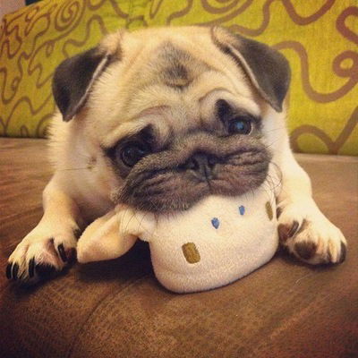 Саша Михайлова