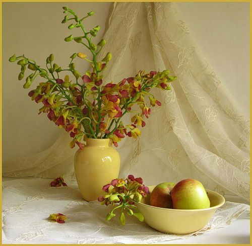 Рената Гарипова