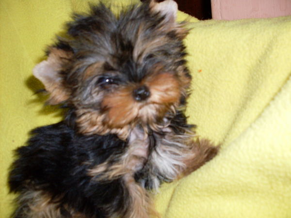 Татьяна Пронякина