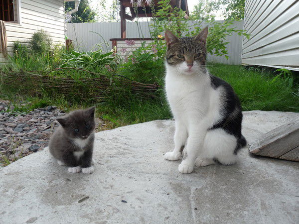 Галина Орлова