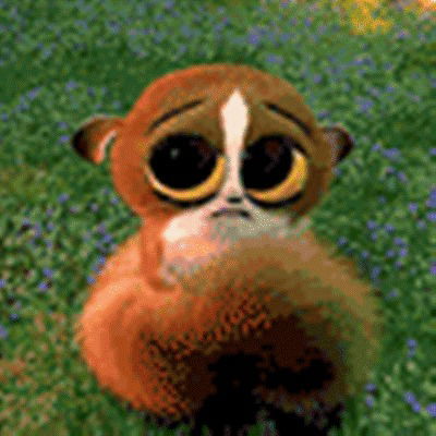 Евгений Бондаревский