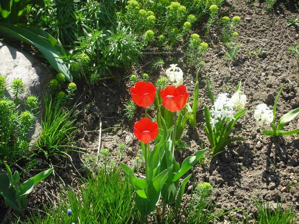 Анна Слепцова