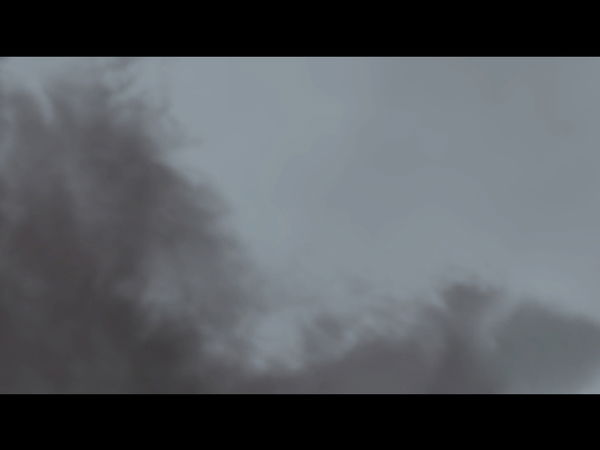 Дамир Галимов