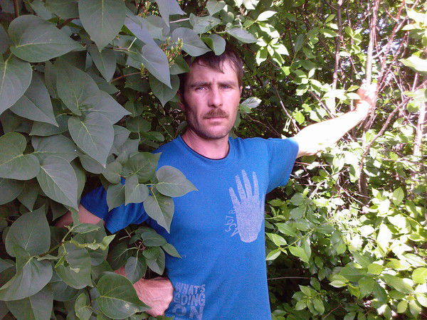 Борис Наджафов