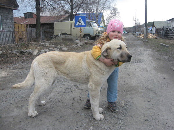 Неизвестно Неизвестно