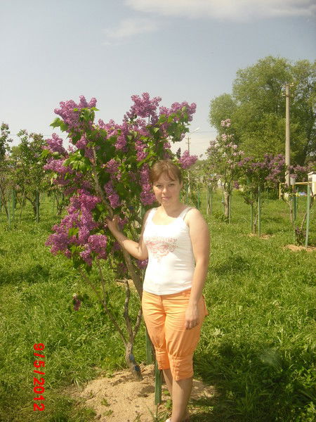 Дорохова Надежда