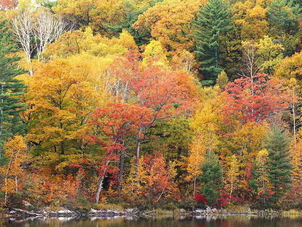 Онуб Отдел Комплектования