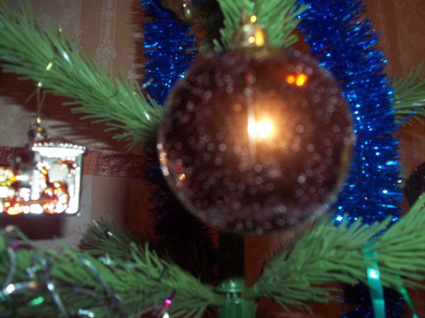 Андрей Жигорев