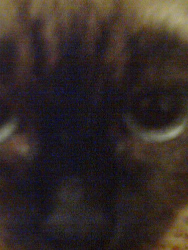 Николай Балан