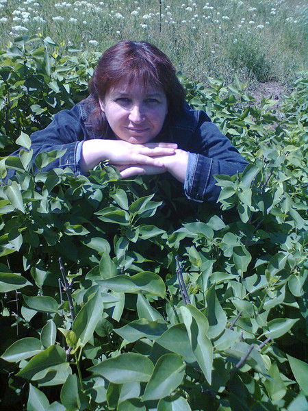 Алла Ильченко