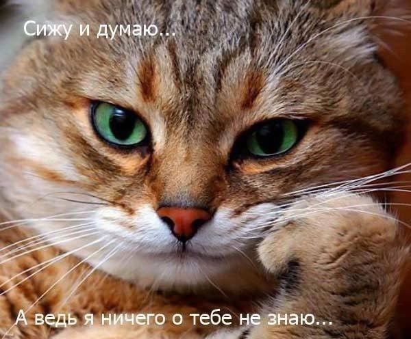 Сергей Гребенюк