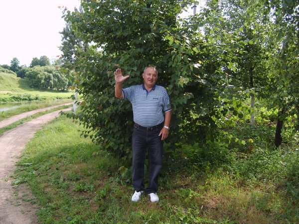 Владимир Качанов