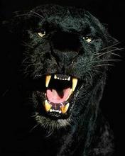 Егор Смирнов