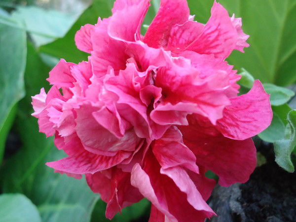 Татьяна Кучер