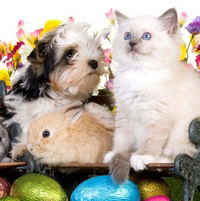 Марина Шманатова