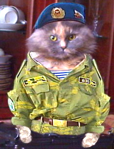 Виктор Живилов