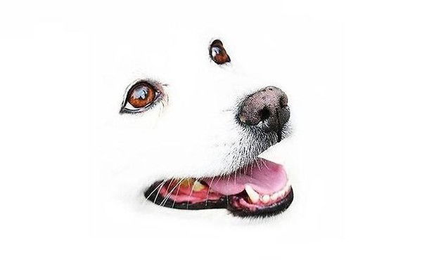 Чынгыз Эргашев