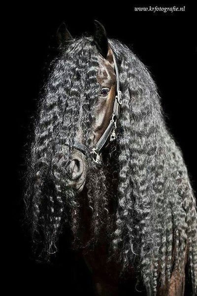 Диана Конник