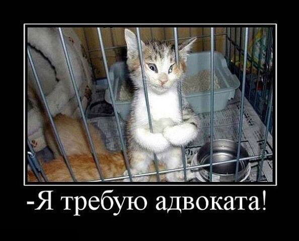 Александр Данильченко