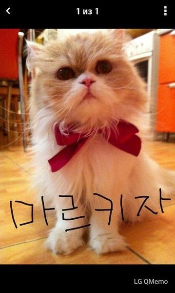 Зере Кожахметова