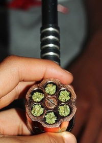 Иван Иванов