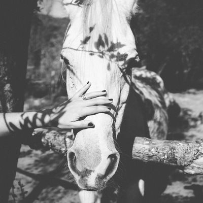 Марина Хопряшкина