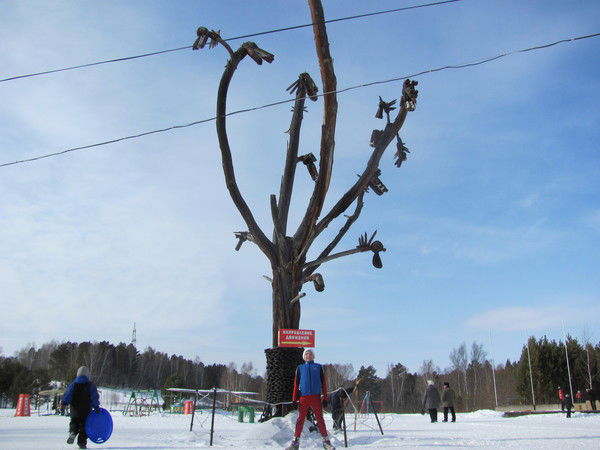 Серый Нивиницин