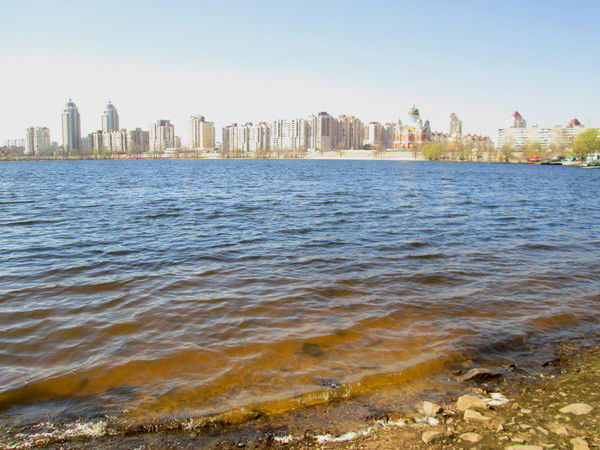 Елена Лузина