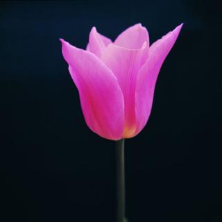 Зинура Салимбаева