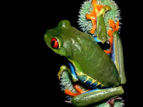 Анна Глазырина