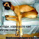 Лена ***