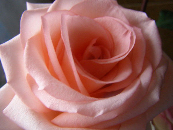 Людмила Бугаева