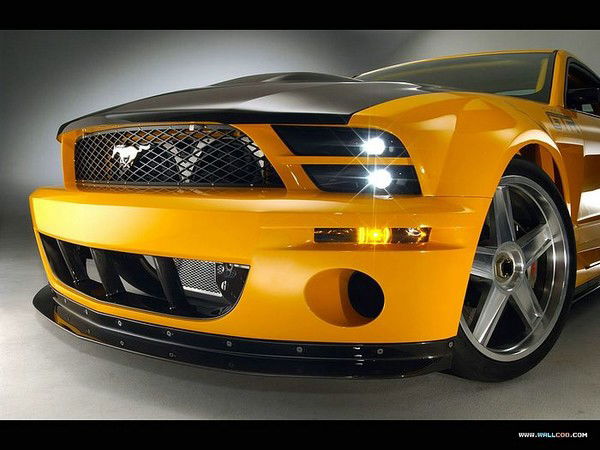 Нурсиль Тазмиев