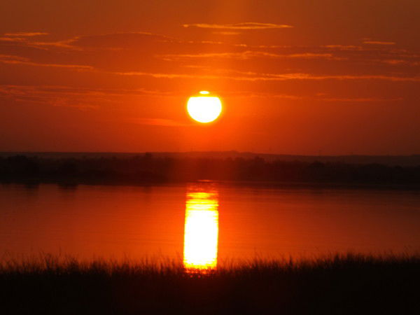 Светлана Баукова