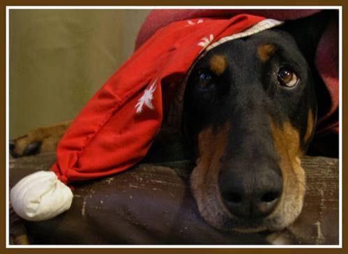 Неизвестно Неизвестно