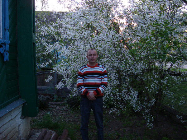 Дмитрий Евграфов