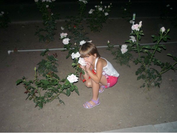 Снежана Полешко