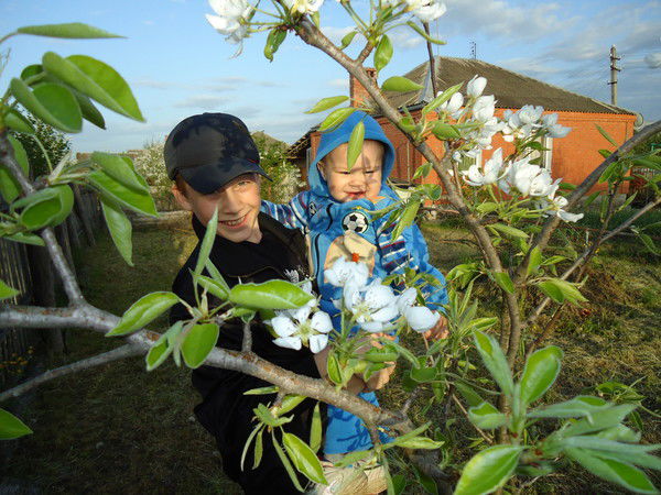 Егор Шевченко