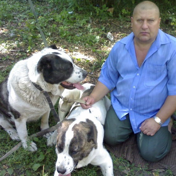 Сергей Настенко