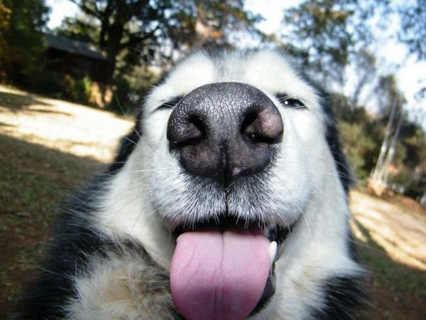 Владимир Богачёв