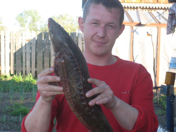 Иван Малюгин