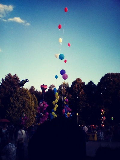 Миша Ищенко