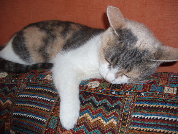 Наталья Мухорина