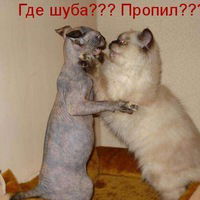 Алексей Чередниченко