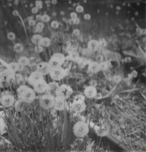 Елизавета Зыкова