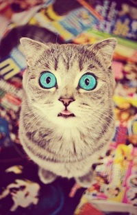 Ксения Скороходова