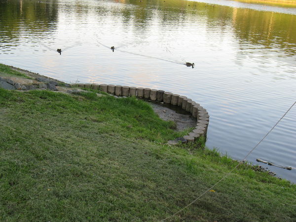 Максим Крючков